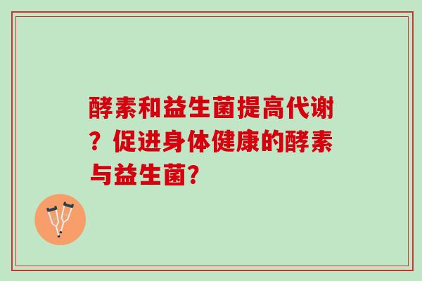 酵素和益生菌提高代谢？促进身体健康的酵素与益生菌？