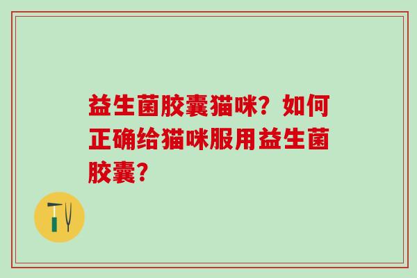 益生菌胶囊猫咪？如何正确给猫咪服用益生菌胶囊？