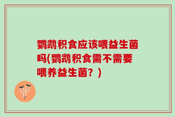 鹦鹉积食应该喂益生菌吗(鹦鹉积食需不需要喂养益生菌？)