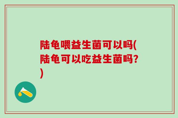 陆龟喂益生菌可以吗(陆龟可以吃益生菌吗？)