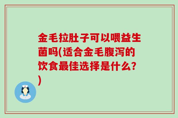 金毛拉肚子可以喂益生菌吗(适合金毛腹泻的饮食最佳选择是什么？)