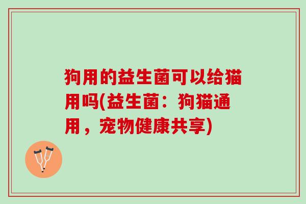 狗用的益生菌可以给猫用吗(益生菌:狗猫通用,宠物健康共享) 狗用的益生菌可以给猫用吗(益生菌:狗猫通用,宠物健康共享)