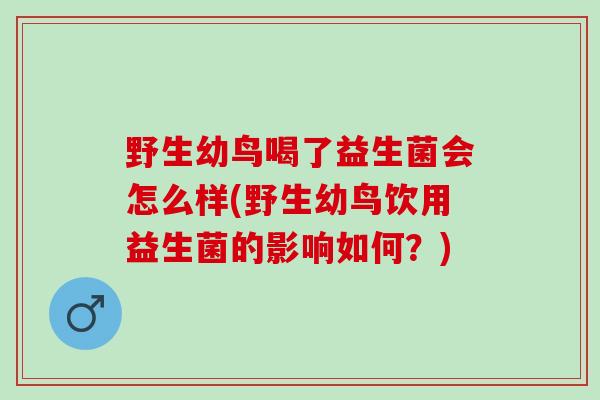 野生幼鸟喝了益生菌会怎么样(野生幼鸟饮用益生菌的影响如何？)
