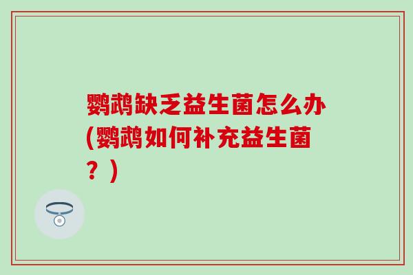 鹦鹉缺乏益生菌怎么办(鹦鹉如何补充益生菌？)