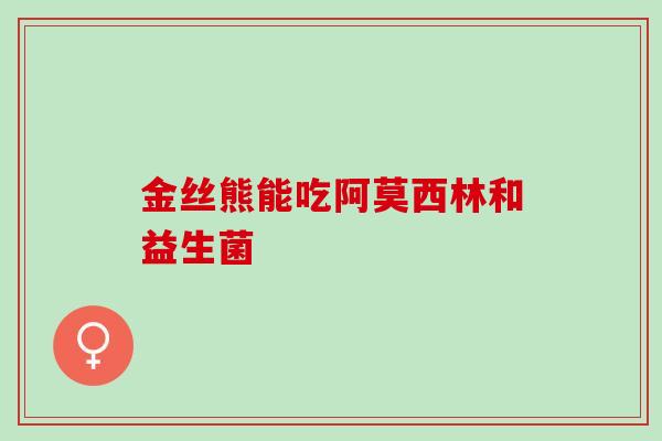 金丝熊能吃阿莫西林和益生菌 金丝熊能吃阿莫西林和益生菌