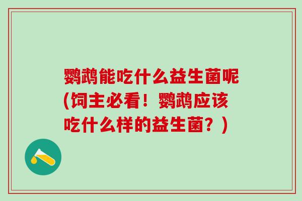 鹦鹉能吃什么益生菌呢(饲主必看！鹦鹉应该吃什么样的益生菌？)