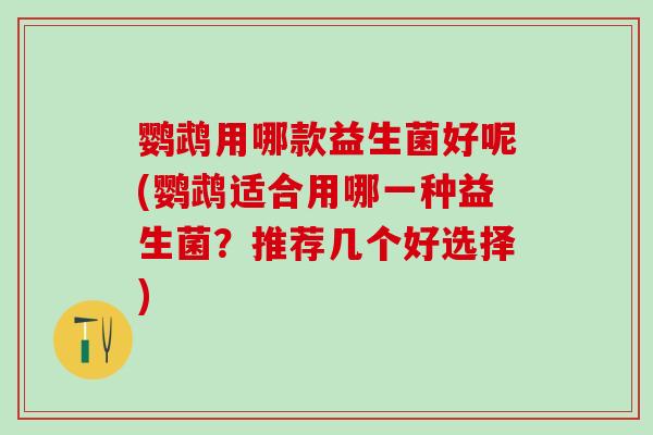 鹦鹉用哪款益生菌好呢(鹦鹉适合用哪一种益生菌？推荐几个好选择)