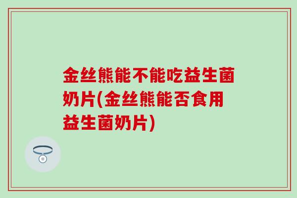 金丝熊能不能吃益生菌奶片(金丝熊能否食用益生菌奶片)