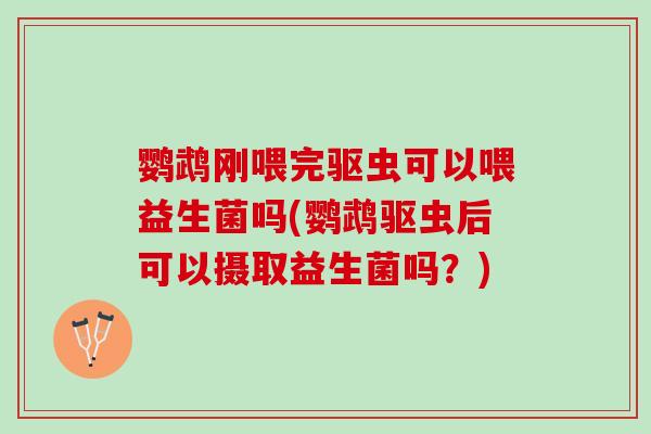 鹦鹉刚喂完驱虫可以喂益生菌吗(鹦鹉驱虫后可以摄取益生菌吗？)