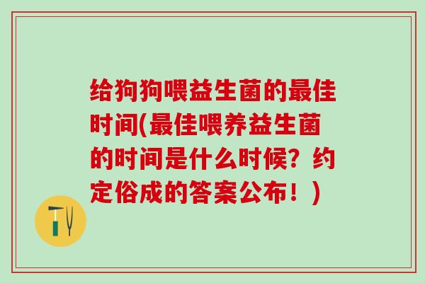 给狗狗喂益生菌的佳时间(佳喂养益生菌的时间是什么时候?约定俗成的答案公布!) 给狗狗喂益生菌的佳时间(佳喂养益生菌的时间是什么时候?约定俗成的答案公布!)