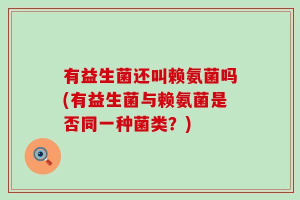 有益生菌还叫赖氨菌吗(有益生菌与赖氨菌是否同一种菌类？)