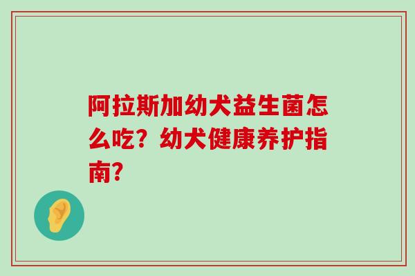 阿拉斯加幼犬益生菌怎么吃？幼犬健康养护指南？