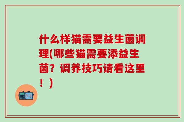 什么样猫需要益生菌调理(哪些猫需要添益生菌？调养技巧请看这里！)
