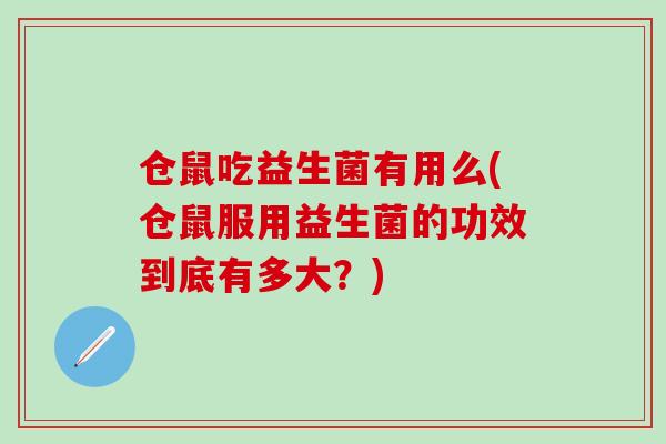 仓鼠吃益生菌有用么(仓鼠服用益生菌的功效到底有多大？)