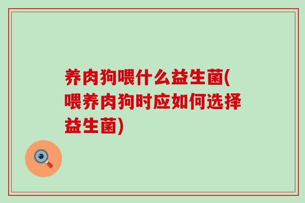 养肉狗喂什么益生菌(喂养肉狗时应如何选择益生菌) 养肉狗喂什么益生菌(喂养肉狗时应如何选择益生菌)