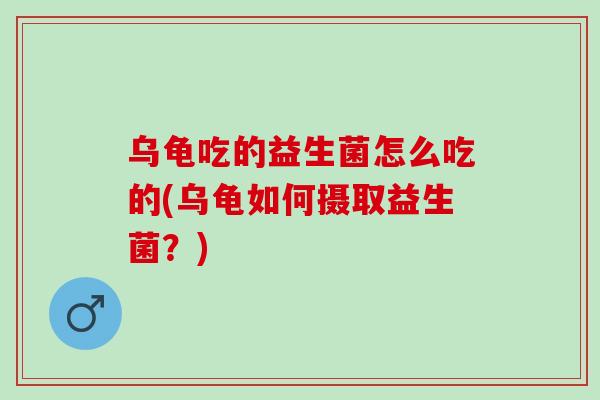 乌龟吃的益生菌怎么吃的(乌龟如何摄取益生菌？)
