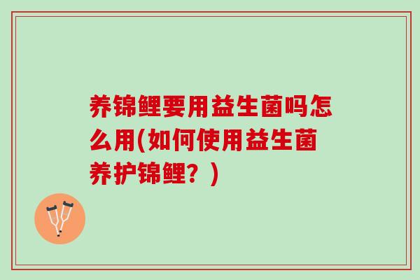 养锦鲤要用益生菌吗怎么用(如何使用益生菌养护锦鲤？)