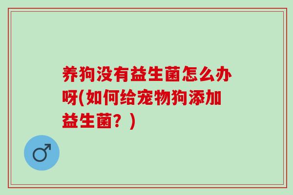 养狗没有益生菌怎么办呀(如何给宠物狗添加益生菌？)