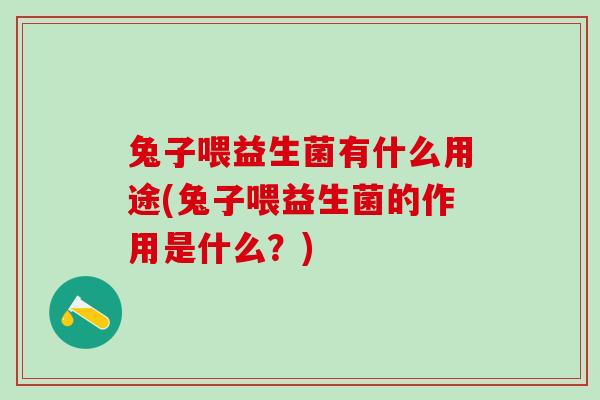 兔子喂益生菌有什么用途(兔子喂益生菌的作用是什么？)