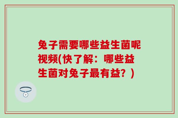 兔子需要哪些益生菌呢视频(快了解:哪些益生菌对兔子有益?) 兔子需要哪些益生菌呢视频(快了解:哪些益生菌对兔子有益?)