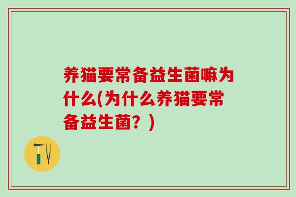养猫要常备益生菌嘛为什么(为什么养猫要常备益生菌？)