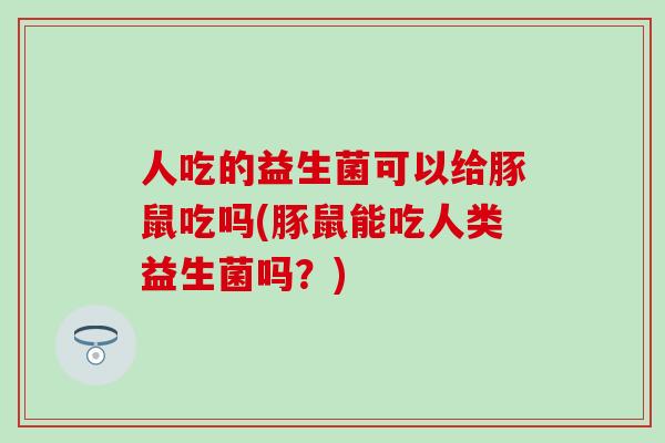 人吃的益生菌可以给豚鼠吃吗(豚鼠能吃人类益生菌吗？)