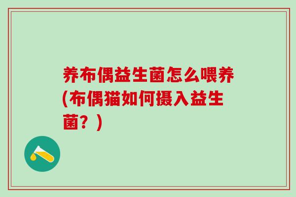 养布偶益生菌怎么喂养(布偶猫如何摄入益生菌？)