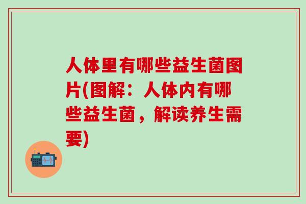人体里有哪些益生菌图片(图解：人体内有哪些益生菌，解读养生需要)