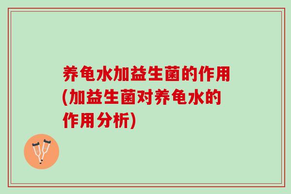 养龟水加益生菌的作用(加益生菌对养龟水的作用分析)