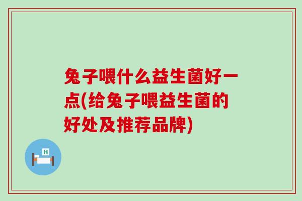 兔子喂什么益生菌好一点(给兔子喂益生菌的好处及推荐品牌)