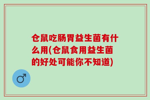 仓鼠吃肠胃益生菌有什么用(仓鼠食用益生菌的好处可能你不知道)