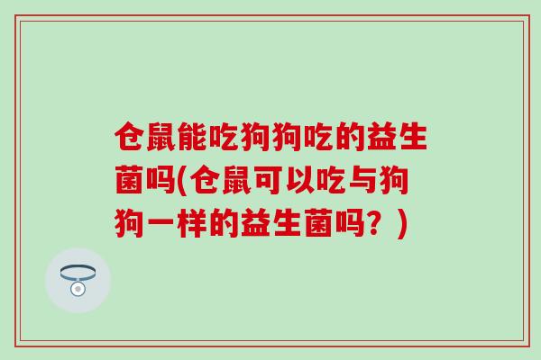仓鼠能吃狗狗吃的益生菌吗(仓鼠可以吃与狗狗一样的益生菌吗?) 仓鼠能吃狗狗吃的益生菌吗(仓鼠可以吃与狗狗一样的益生菌吗?)