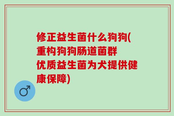 修正益生菌什么狗狗(重构狗狗肠道菌群 优质益生菌为犬提供健康保障) 修正益生菌什么狗狗(重构狗狗肠道菌群 优质益生菌为犬提供健康保障)