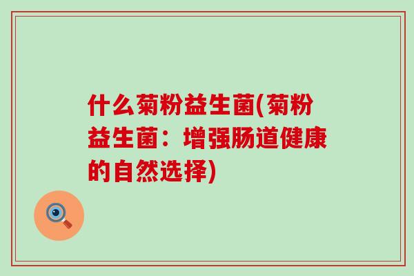 什么菊粉益生菌(菊粉益生菌:增强肠道健康的自然选择) 什么菊粉益生菌(菊粉益生菌:增强肠道健康的自然选择)