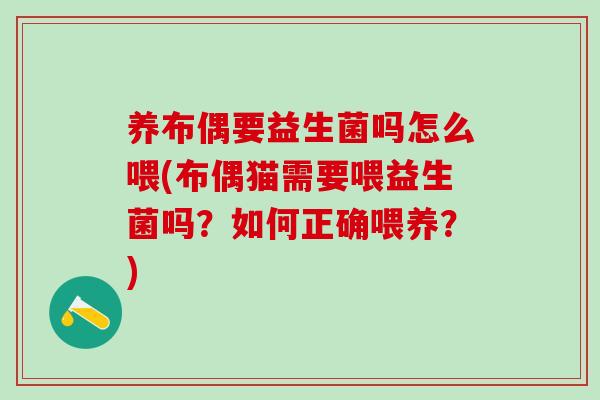 养布偶要益生菌吗怎么喂(布偶猫需要喂益生菌吗？如何正确喂养？)