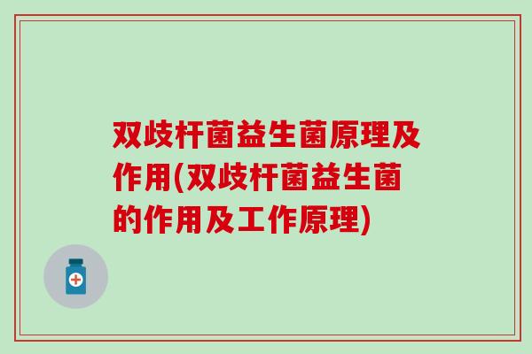 双歧杆菌益生菌原理及作用(双歧杆菌益生菌的作用及工作原理)