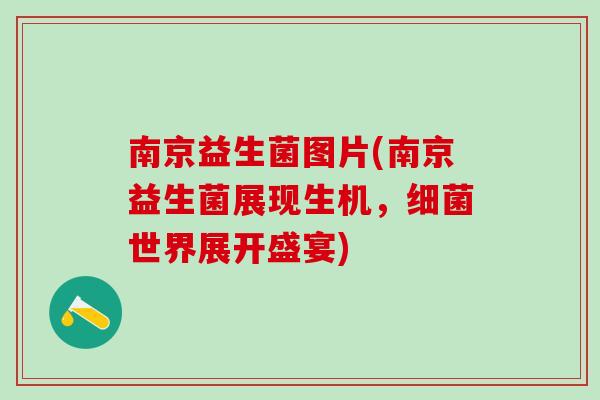 南京益生菌图片(南京益生菌展现生机，细菌世界展开盛宴)