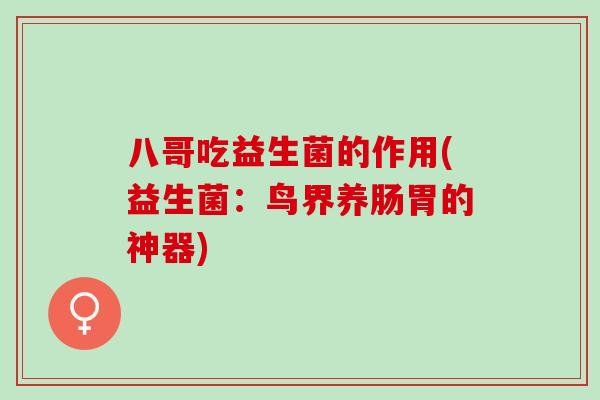 八哥吃益生菌的作用(益生菌：鸟界养肠胃的神器)