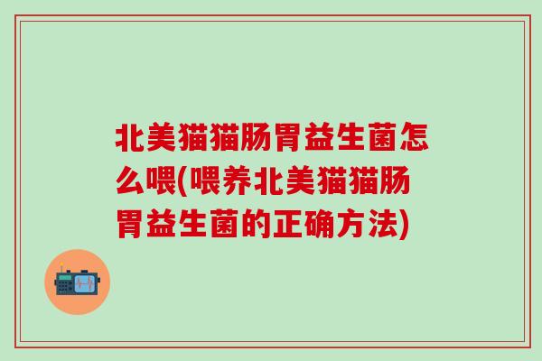 北美猫猫肠胃益生菌怎么喂(喂养北美猫猫肠胃益生菌的正确方法)