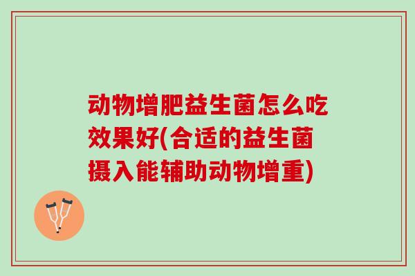 动物增肥益生菌怎么吃效果好(合适的益生菌摄入能辅助动物增重) 动物增肥益生菌怎么吃效果好(合适的益生菌摄入能辅助动物增重)