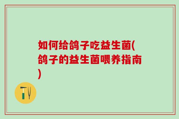 如何给鸽子吃益生菌(鸽子的益生菌喂养指南)