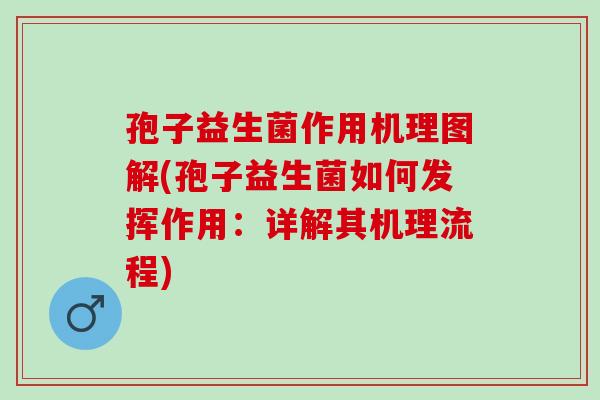 孢子益生菌作用机理图解(孢子益生菌如何发挥作用：详解其机理流程)