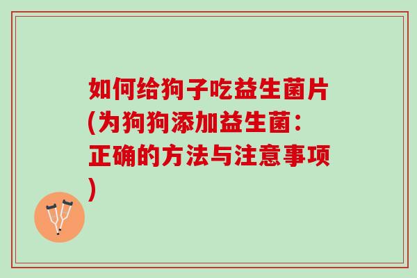 如何给狗子吃益生菌片(为狗狗添加益生菌：正确的方法与注意事项)
