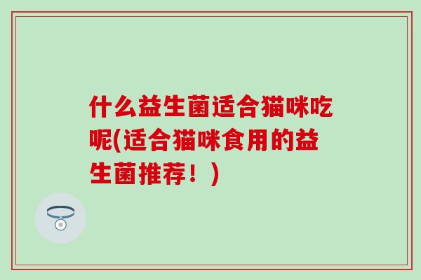 什么益生菌适合猫咪吃呢(适合猫咪食用的益生菌推荐！)