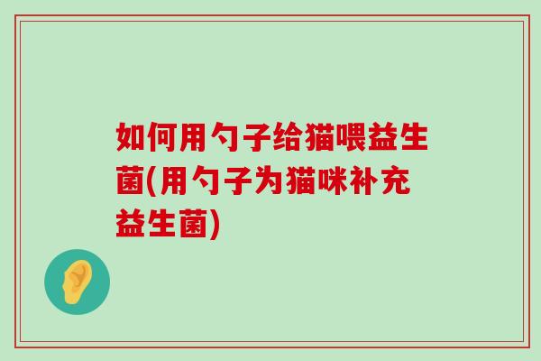 如何用勺子给猫喂益生菌(用勺子为猫咪补充益生菌)