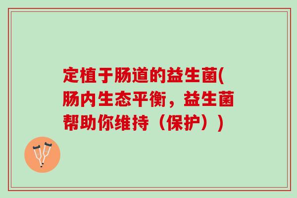 定植于肠道的益生菌(肠内生态平衡,益生菌帮助你维持(保护)) 定植于肠道的益生菌(肠内生态平衡,益生菌帮助你维持(保护))