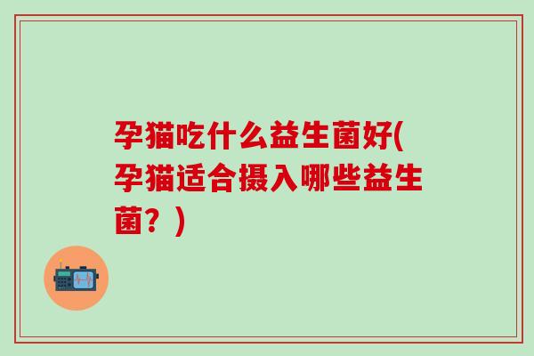 孕猫吃什么益生菌好(孕猫适合摄入哪些益生菌？)