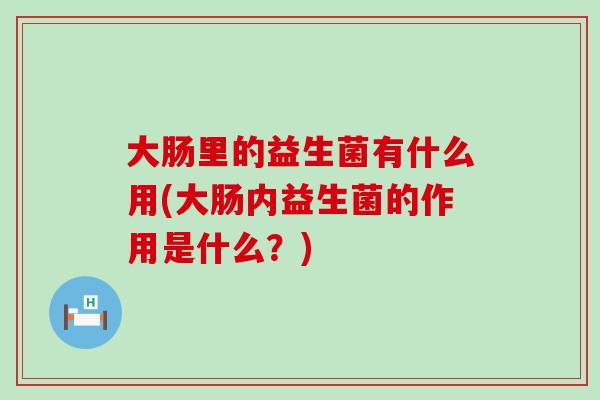 大肠里的益生菌有什么用(大肠内益生菌的作用是什么？)
