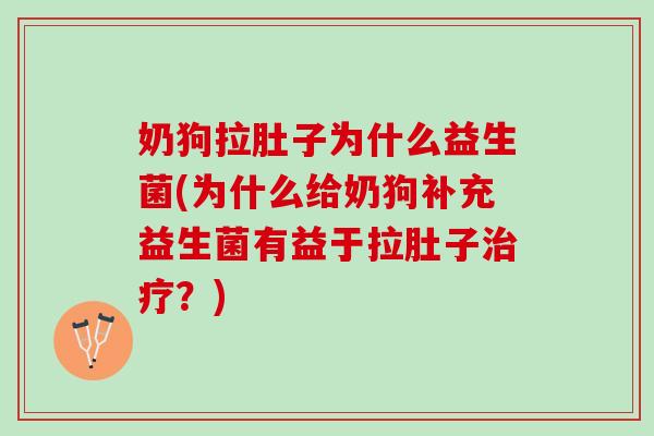 奶狗拉肚子为什么益生菌(为什么给奶狗补充益生菌有益于拉肚子治疗？)