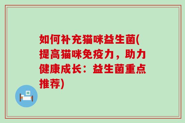 如何补充猫咪益生菌(提高猫咪免疫力，助力健康成长：益生菌重点推荐)